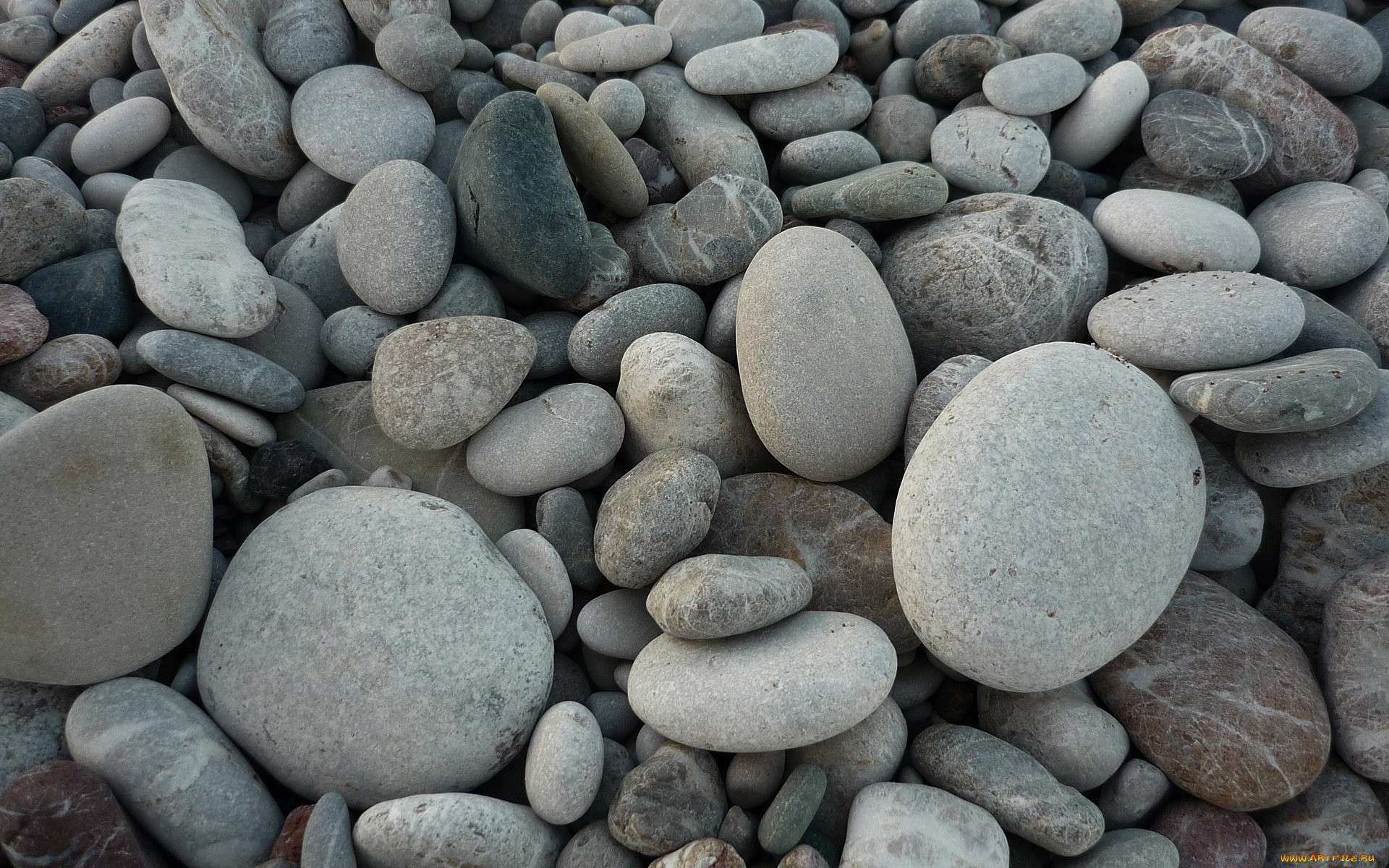 Their stones. Красивые камушки. Камень галька. Морская галька. Крупная галька.